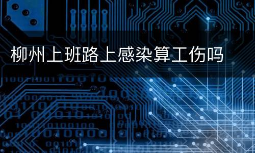 柳州上班路上感染算工伤吗
