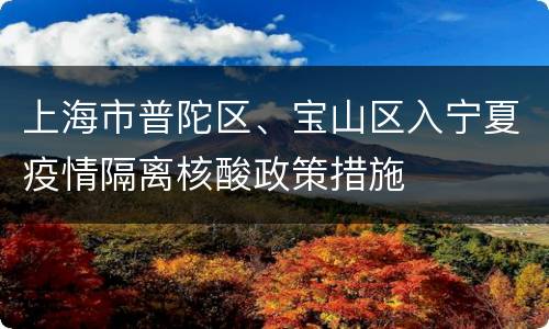 上海市普陀区、宝山区入宁夏疫情隔离核酸政策措施