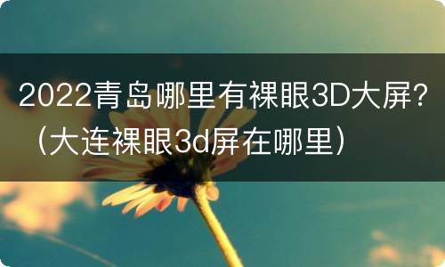 2022青岛哪里有裸眼3D大屏？（大连裸眼3d屏在哪里）