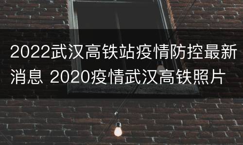 2022武汉高铁站疫情防控最新消息 2020疫情武汉高铁照片