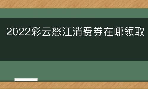 2022彩云怒江消费券在哪领取