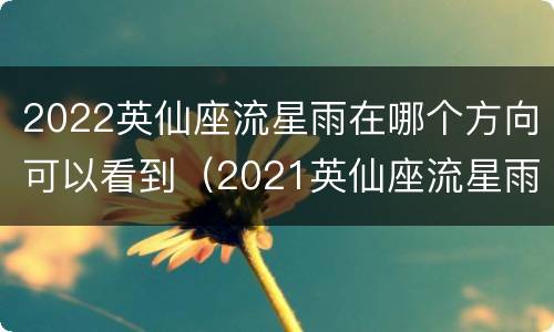 2022英仙座流星雨在哪个方向可以看到（2021英仙座流星雨哪个方向）