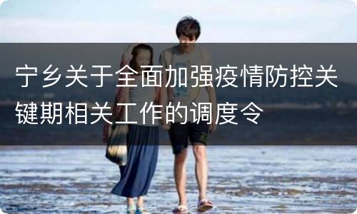 宁乡关于全面加强疫情防控关键期相关工作的调度令