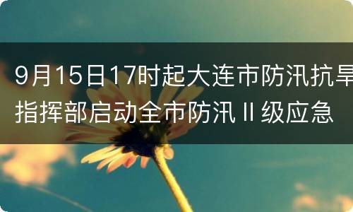 9月15日17时起大连市防汛抗旱指挥部启动全市防汛Ⅱ级应急响应