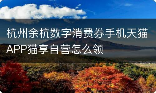 杭州余杭数字消费券手机天猫APP猫享自营怎么领