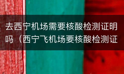 去西宁机场需要核酸检测证明吗（西宁飞机场要核酸检测证明吗）