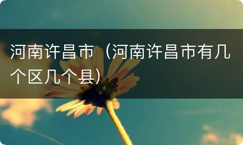 河南许昌市（河南许昌市有几个区几个县）
