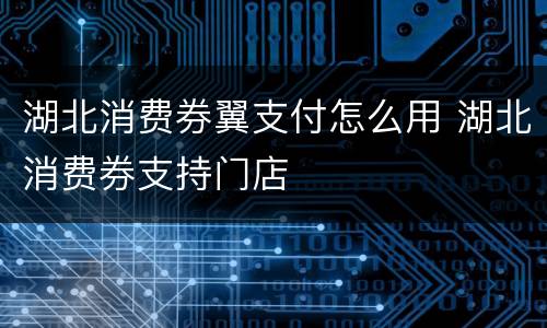 湖北消费券翼支付怎么用 湖北消费券支持门店