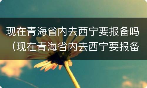 现在青海省内去西宁要报备吗（现在青海省内去西宁要报备吗最新）