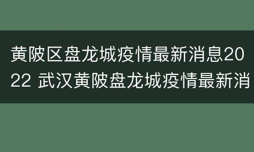 黄陂区盘龙城疫情最新消息2022 武汉黄陂盘龙城疫情最新消息