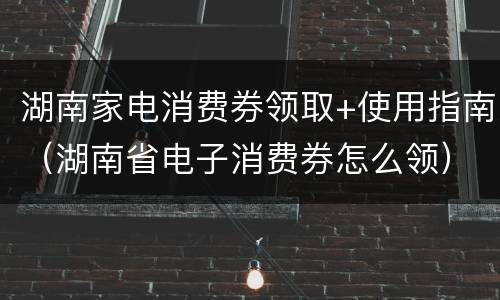 湖南家电消费券领取+使用指南（湖南省电子消费券怎么领）