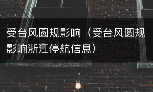 受台风圆规影响（受台风圆规影响浙江停航信息）