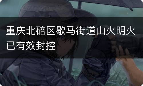 重庆北碚区歇马街道山火明火已有效封控