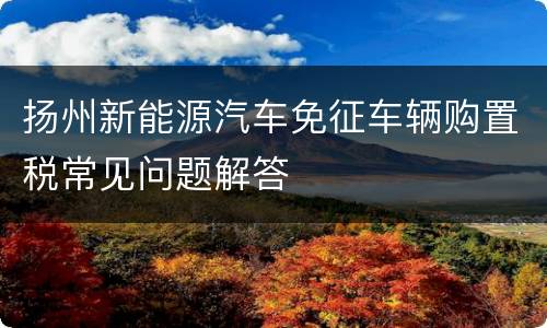 扬州新能源汽车免征车辆购置税常见问题解答