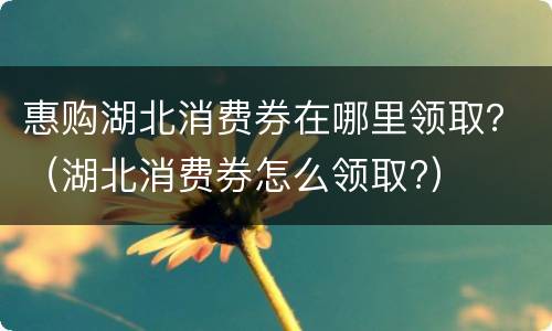 惠购湖北消费券在哪里领取？（湖北消费券怎么领取?）