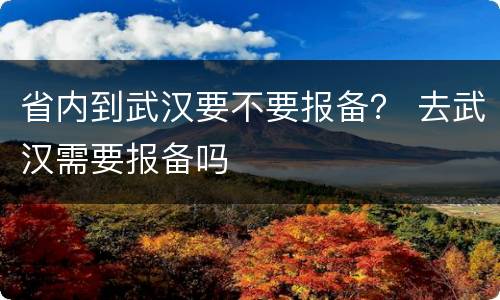 省内到武汉要不要报备？ 去武汉需要报备吗