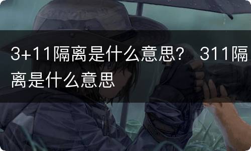 3+11隔离是什么意思？ 311隔离是什么意思