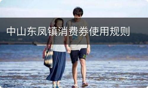 中山东凤镇消费券使用规则