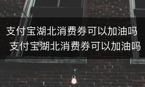 支付宝湖北消费券可以加油吗 支付宝湖北消费券可以加油吗怎么用
