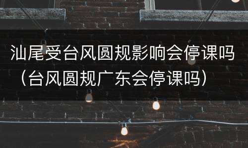汕尾受台风圆规影响会停课吗（台风圆规广东会停课吗）