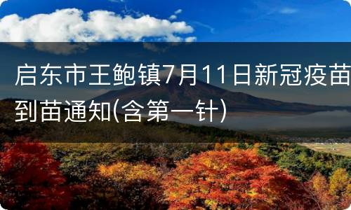 启东市王鲍镇7月11日新冠疫苗到苗通知(含第一针)