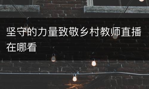 坚守的力量致敬乡村教师直播在哪看