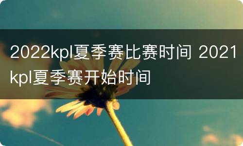 2022kpl夏季赛比赛时间 2021kpl夏季赛开始时间