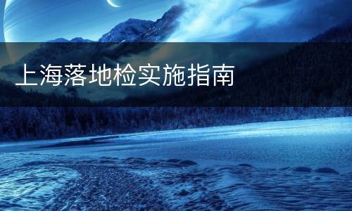 上海落地检实施指南