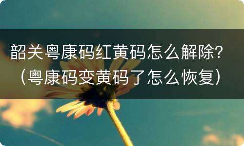 韶关粤康码红黄码怎么解除？（粤康码变黄码了怎么恢复）