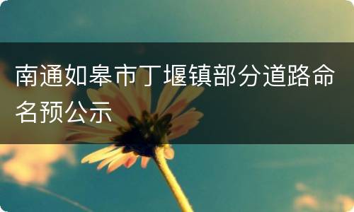 南通如皋市丁堰镇部分道路命名预公示
