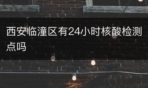 西安临潼区有24小时核酸检测点吗