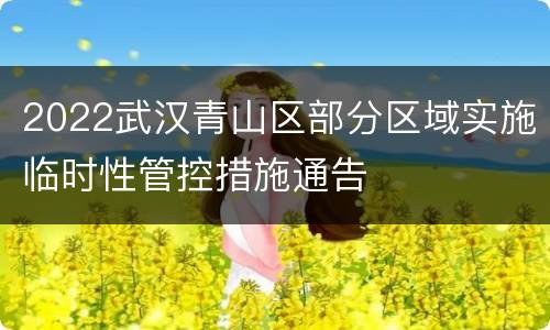 2022武汉青山区部分区域实施临时性管控措施通告