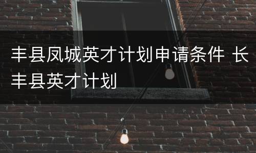 丰县凤城英才计划申请条件 长丰县英才计划