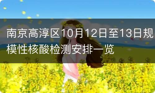 南京高淳区10月12日至13日规模性核酸检测安排一览