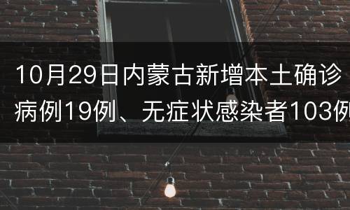10月29日内蒙古新增本土确诊病例19例、无症状感染者103例