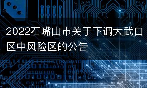 2022石嘴山市关于下调大武口区中风险区的公告