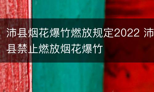 沛县烟花爆竹燃放规定2022 沛县禁止燃放烟花爆竹