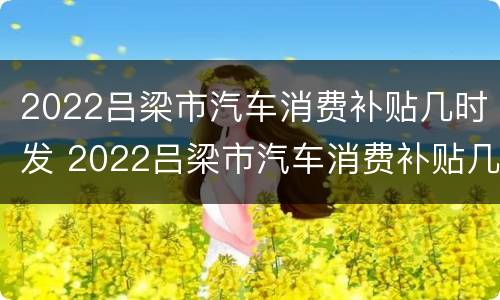 2022吕梁市汽车消费补贴几时发 2022吕梁市汽车消费补贴几时发放