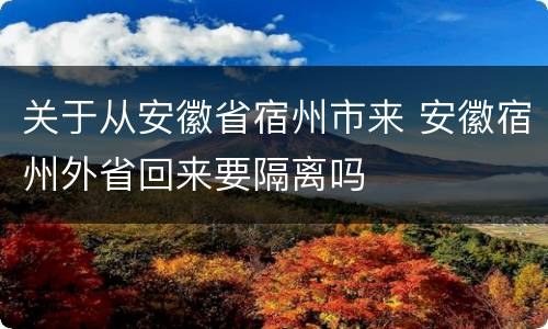 关于从安徽省宿州市来 安徽宿州外省回来要隔离吗