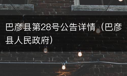 巴彦县第28号公告详情（巴彦县人民政府）