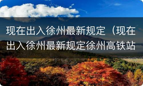 现在出入徐州最新规定（现在出入徐州最新规定徐州高铁站有核酸检测点吗）