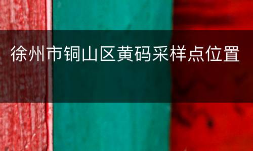 徐州市铜山区黄码采样点位置
