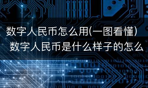 数字人民币怎么用(一图看懂) 数字人民币是什么样子的怎么使用