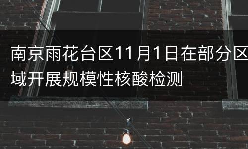 南京雨花台区11月1日在部分区域开展规模性核酸检测