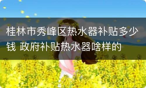 桂林市秀峰区热水器补贴多少钱 政府补贴热水器啥样的