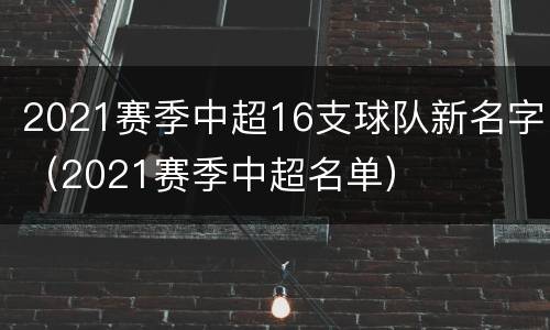 2021赛季中超16支球队新名字（2021赛季中超名单）