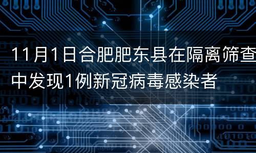 11月1日合肥肥东县在隔离筛查中发现1例新冠病毒感染者