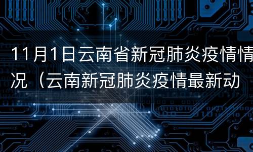 11月1日云南省新冠肺炎疫情情况（云南新冠肺炎疫情最新动态）