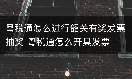粤税通怎么进行韶关有奖发票抽奖 粤税通怎么开具发票