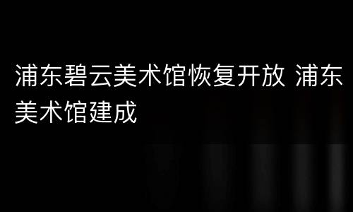 浦东碧云美术馆恢复开放 浦东美术馆建成